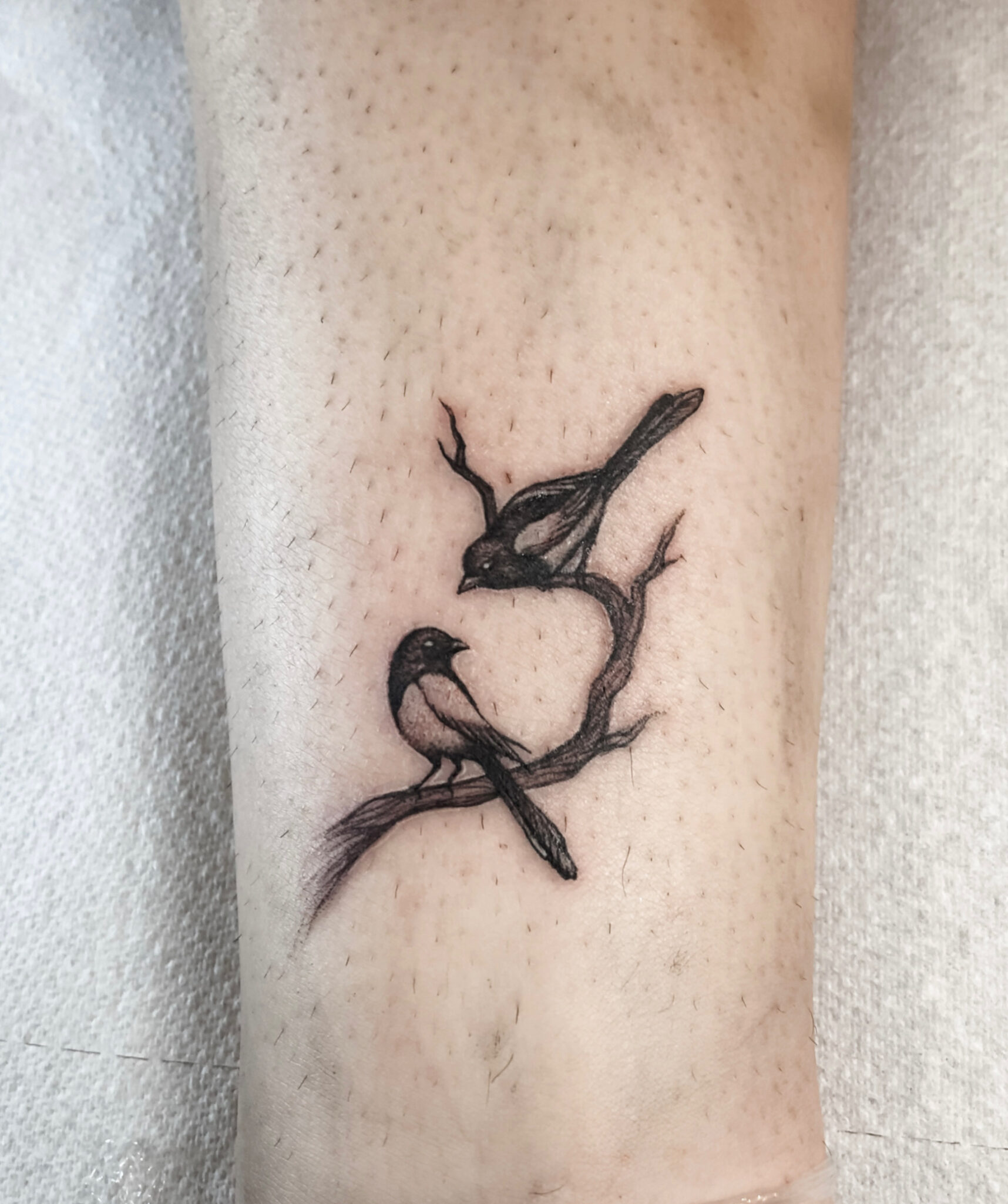 Magpie tattoo